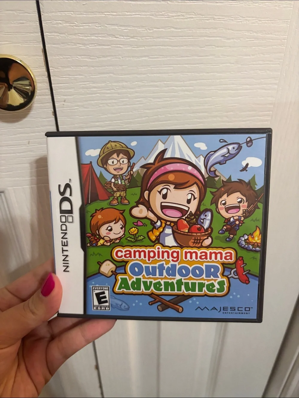 Nintendo DS Game Bundle